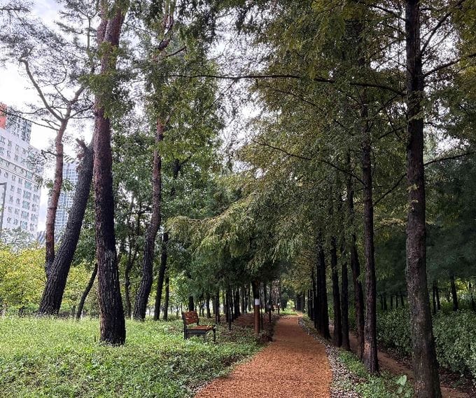 단절 녹지잇는 세종시 새롬동 둘레길, 마무리 단계