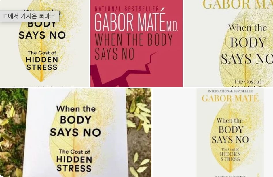 [SNS 이슈] 만성 스트레스와 숨겨진 감정, 어떻게 다룰까?… 가버 마테 박사가 제시한 ‘7가지 치유의 A’
