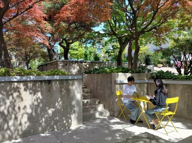 한밭도서관, ‘미로미로원(迷路美路園)’ 봄 맞이 새단장