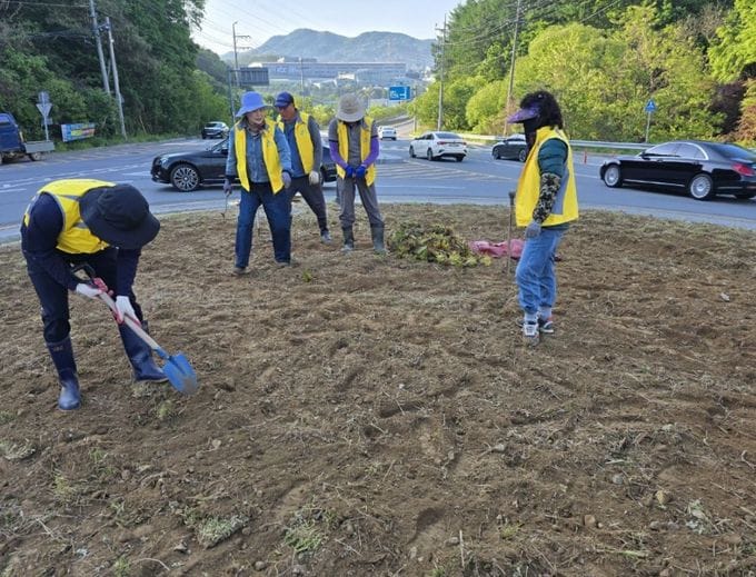 세종시 전의초수 가는 길, 주민 손으로 단정하게 가꿔요!