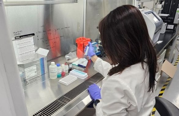 세종시 구제역 항체 양성률 '전국 평균 상회'