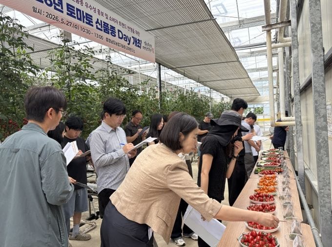 충남농업기술원, ‘2026 토마토 신품종 데이(Day)’ 개최