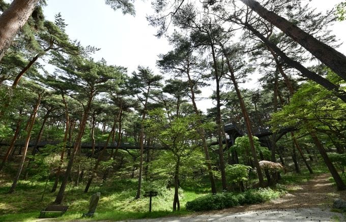 충남도 산림자원연구소, 안면도자연휴양림·수목원, 여름철 연장 운영