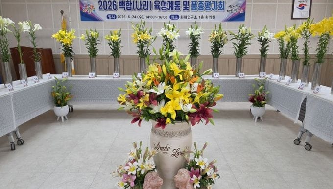 충남 대표 백합 4종 소비자 만나다