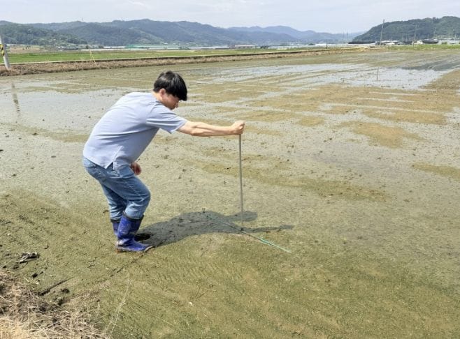 부여, 벼 직파재배 현장 기술지원 강화… “노동력 절감·생산비 뚝↓”