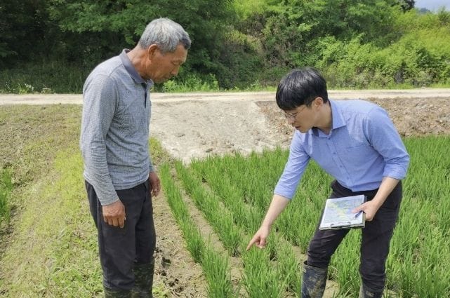 부여, 벼 병해충 현장 지도 강화