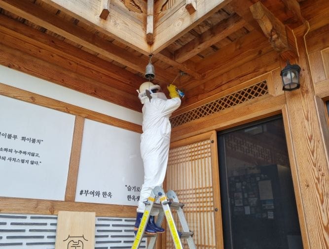 충남소방, 최근 3년간 벌집 제거 출동 5만여 건…벌집 발견 시 119 신고