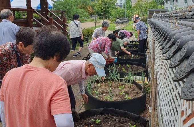 세종농업기술센터, 공동주택 어르신 대상 '건강한 실버텃밭 만들기' 운영
