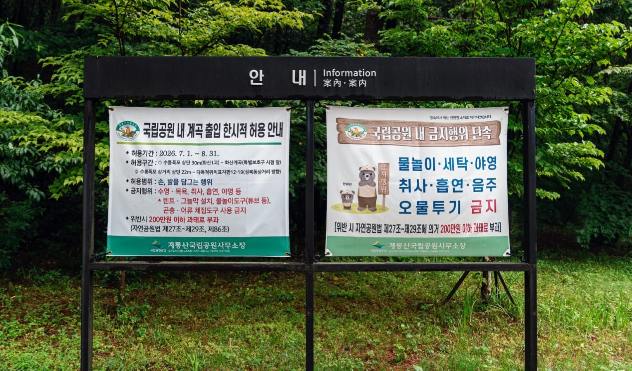 대전시, 여름 휴가철 하천·계곡 불법행위 특별단속