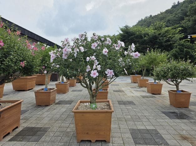충남 무궁화 ‘대통령상’ 수상