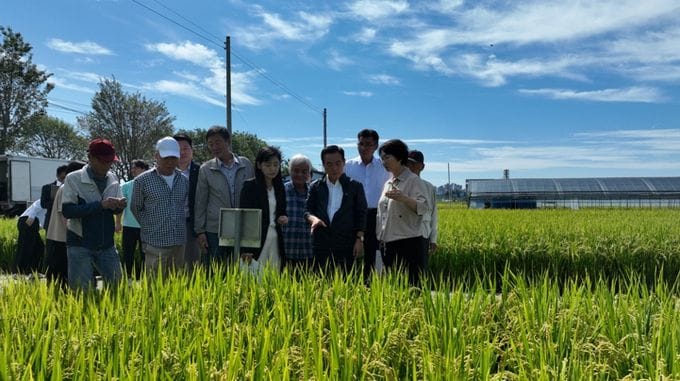 논산시, 2026년도 벼농사 종합평가회 개최