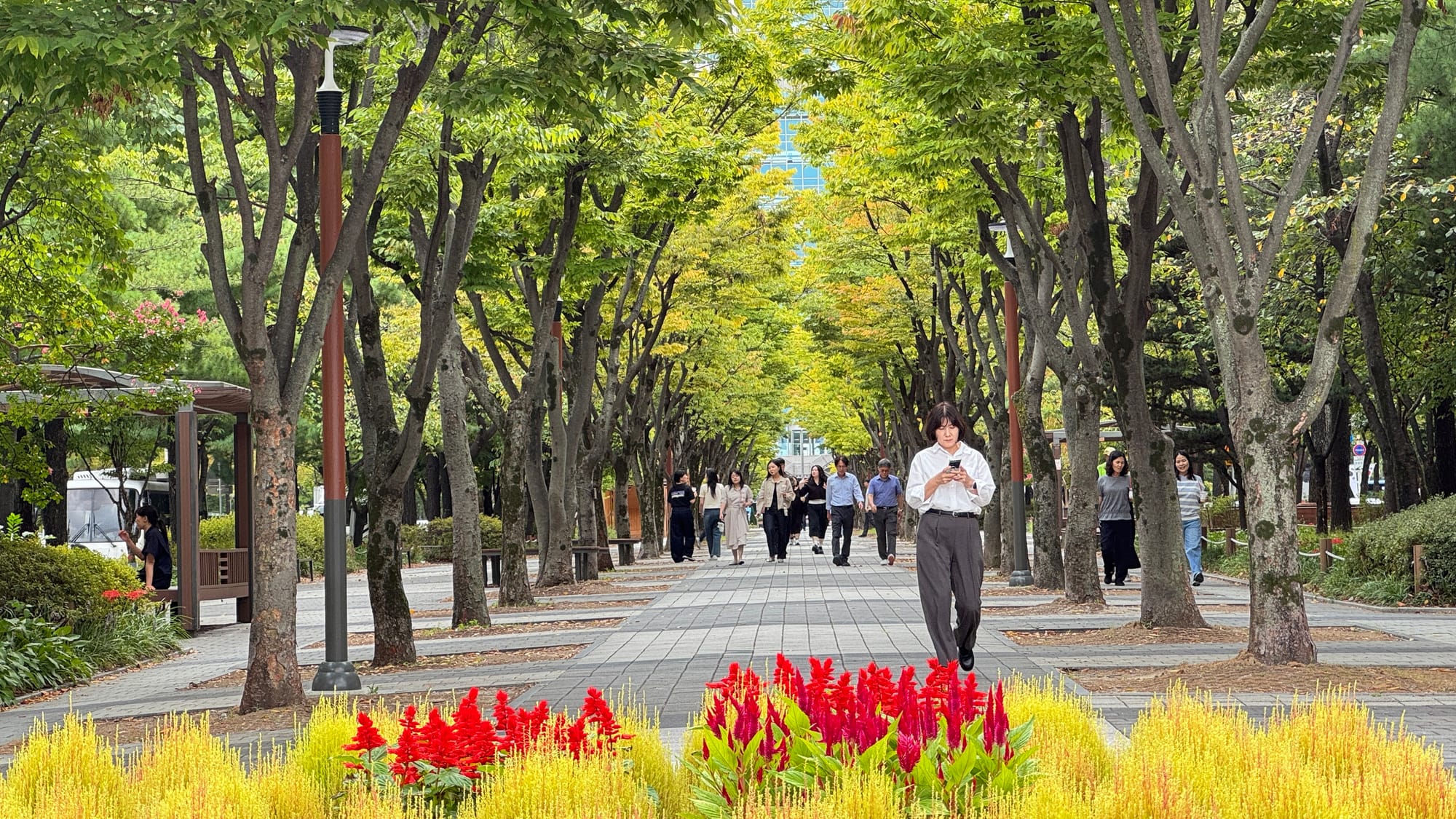 [포토] 가을 문턱에 선 보라매공원… 붉고 노란빛으로 물든 점심 산책로