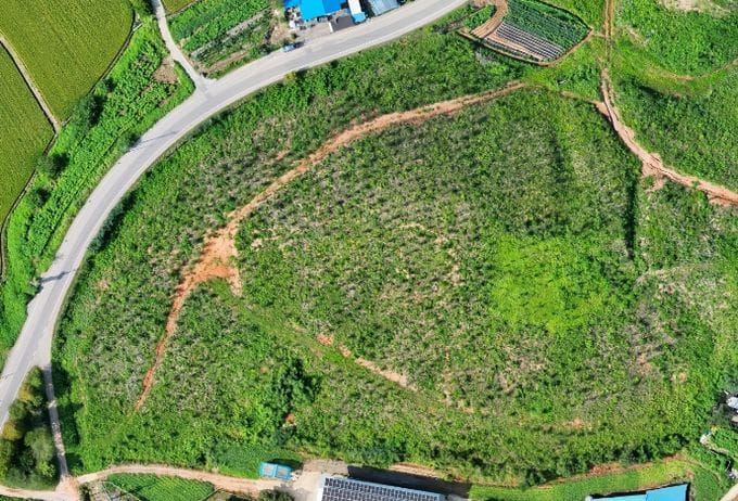 충남도 산불 상처 딛고 키운 숲, 우수조림지 ‘최우수’ 선정