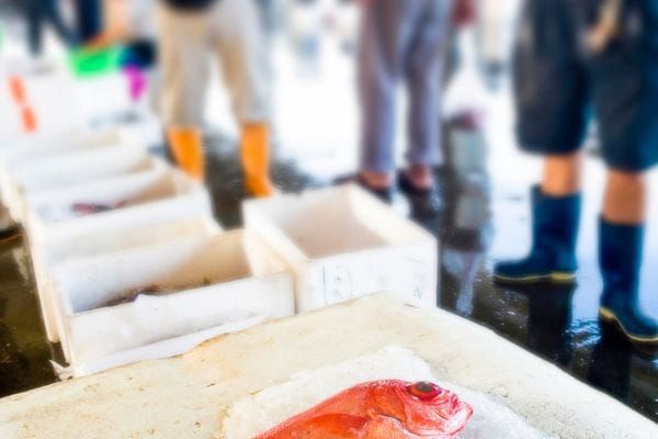 노은농수산물도매시장 블라인드 경매 시범 도입 post image