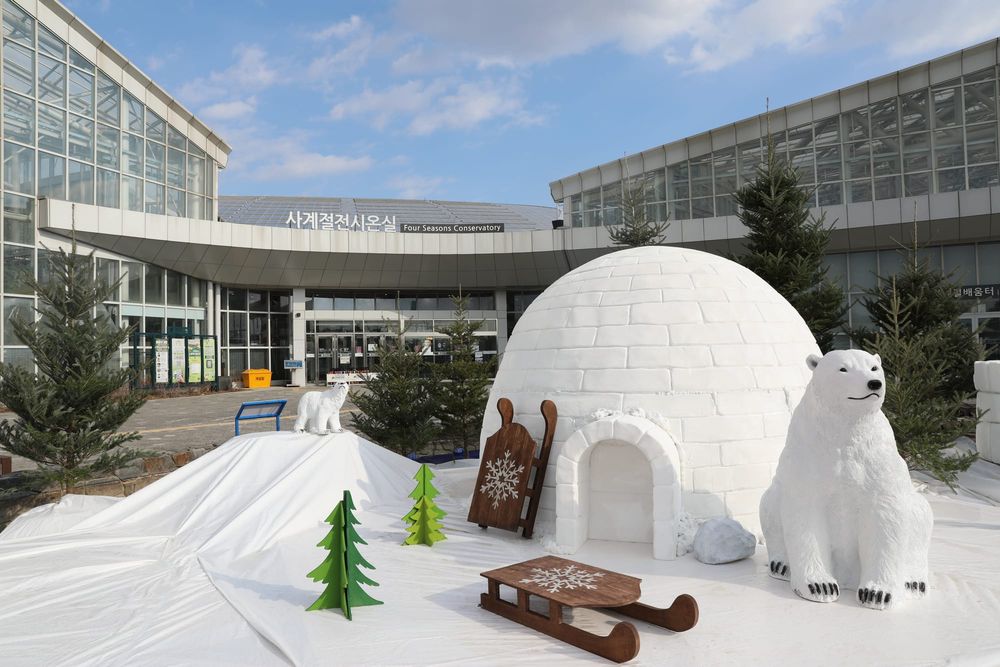 국립세종수목원 기획전 ‘지구의 온도: 북극에서 고산까지’ 개최 post image