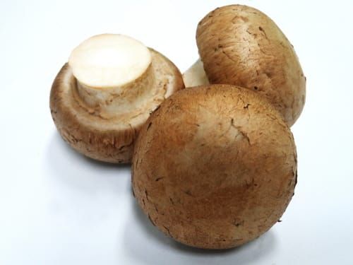 “버섯“ 건강한 겨울 나기에 최고 post image