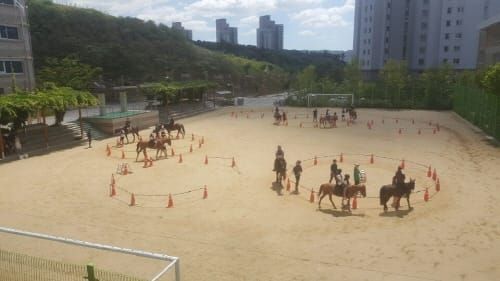 한솔고등학교, 이색수업 ‘찾아가는 승마교실’ 열어 post image