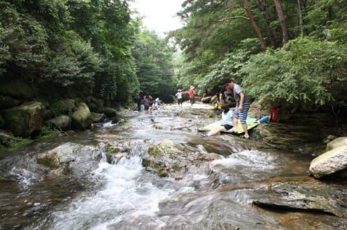숨겨진 명품 계곡서 한여름 더위 날려요 post image