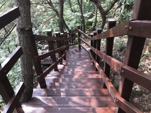 행복도시 전월산 등산로 정비 완료, 개방 시작 post image