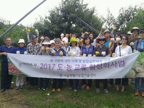 서울시민, 세종시 농업농촌 체험 post image