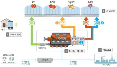 ‘Tri-Gen(삼중발전)’ 적용 똑똑한 온실, 에너지 잡고 수확량 늘린다 post image