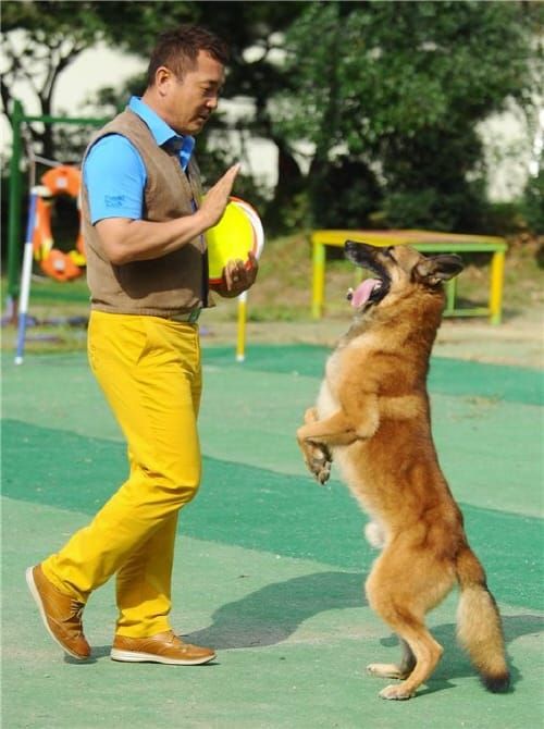이웅종 교수의 ‘반려동물과 행복 나누기’ post image