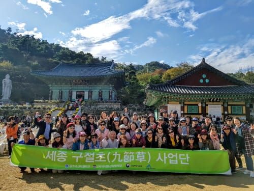 세종시 ‘영평사구절초축제’ 연계 관광열차 호평 post image