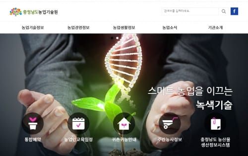 백합 신품종 우량종구 10만 구 분양 post image
