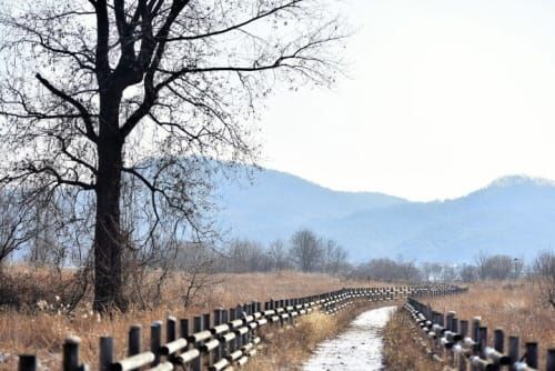 SNS 오늘의 포토 에세이 post image