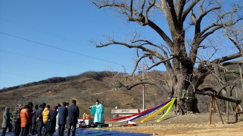 부여 곳곳서 전통세시 풍속행사 열려 post image