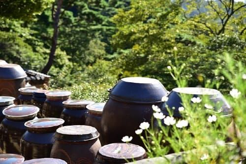 안전하고 위생적인 전통장류 생산 돕는다 post image