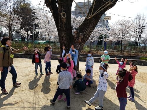 대전유아교육진흥원, 찾아가는 더불어 숲 체험 운영 post image