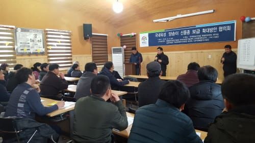 국내 육성 양송이 신품종 보급 확대한다 post image