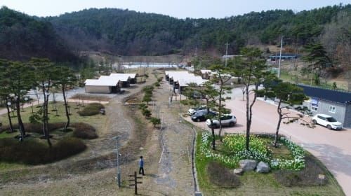굿뜨래 웰빙마을 글램핑장 인기 폭발 post image