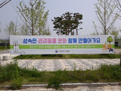 세종시, 반려동물 에티켓 캠페인 post image