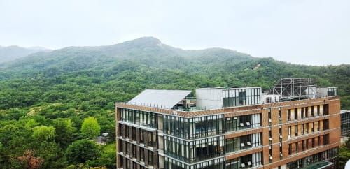 ‘미세먼지 문제 개선 가능할까?’ post image