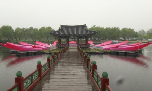 부여군, 지구상에서 제일 크고, 가장 아름다운 연꽃, 천화일화 연꽃! post image