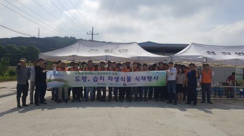 자생식물 숨 쉬는 살아있는 도랑 만든다 post image