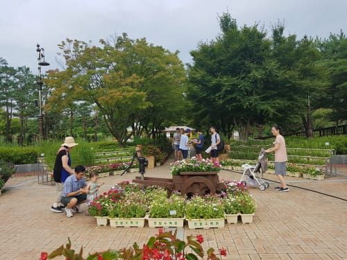 한밭수목원으로 ‘우리식물 나들이’ 어때요 post image