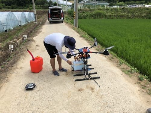 부여군, 공동방제 실시로 벼 먹노린재 박멸 post image