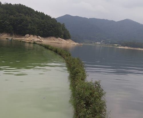상수도사업본부, 대청호 조류확산 방지 총력 post image