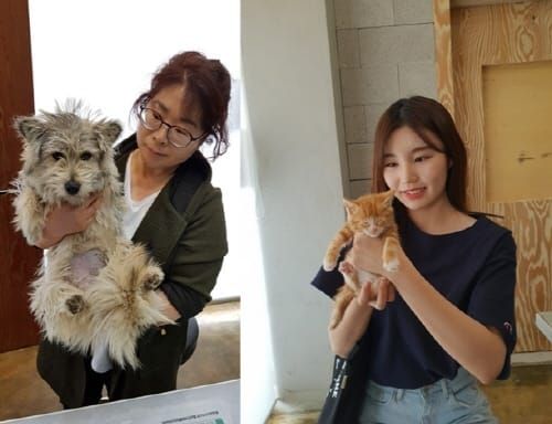 세종시, 입양 유기동물 진료비 지원 post image