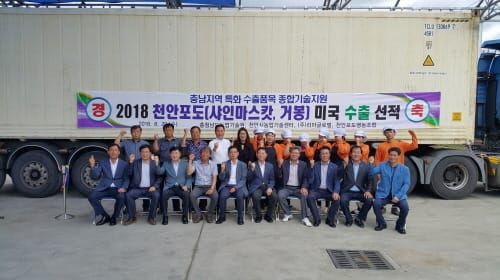 까다로운 미국 시장 뚫은 ‘충남 포도’ post image