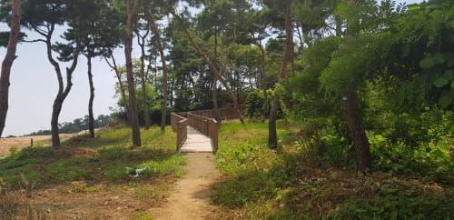 충남도 ‘모두가 누리는 숲길’ 확대 조성 post image