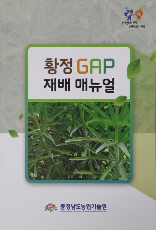황정 GAP 재배 한눈에 보세요 post image