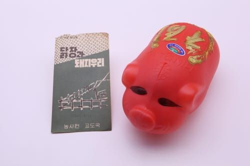 기해년 박물관에서 황금돼지 기운 받아 볼까? post image