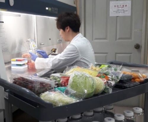 보건환경硏, 봄 철 과일·채소 식중독균 감시강화 post image