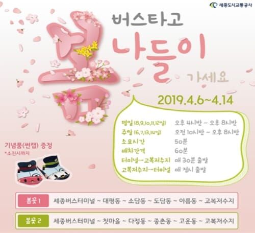 세종교통공사 '버스타고 봄꽃 나들이' 가세요! post image