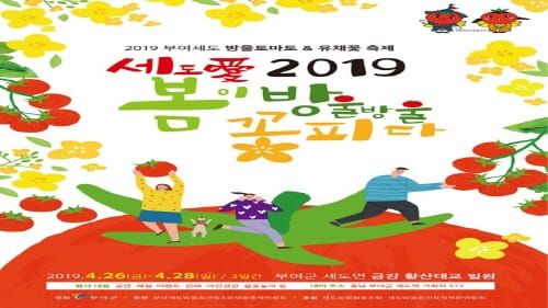 세도 금강변을 수놓는 방울토마토와 유채꽃! post image
