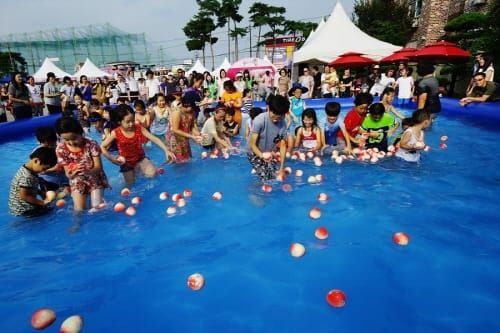 세종조치원복숭아축제 슬로건 시민이 정한다 post image